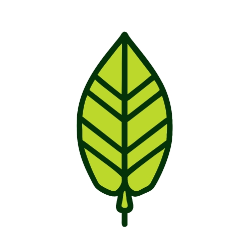 Leaf icon