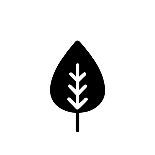 Leaf icon