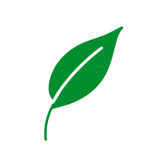 Leaf icon