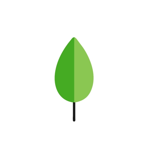 Leaf icon