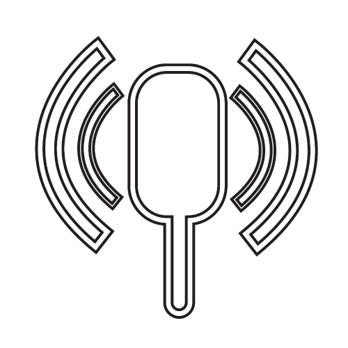 microphone icon