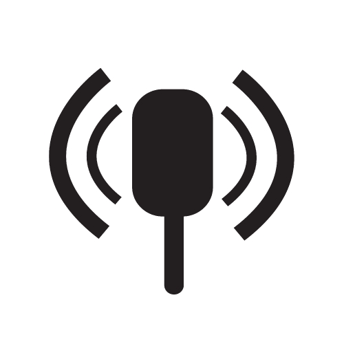 microphone icon