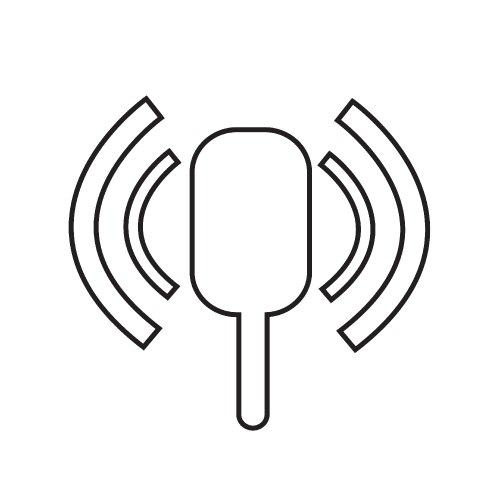 microphone icon