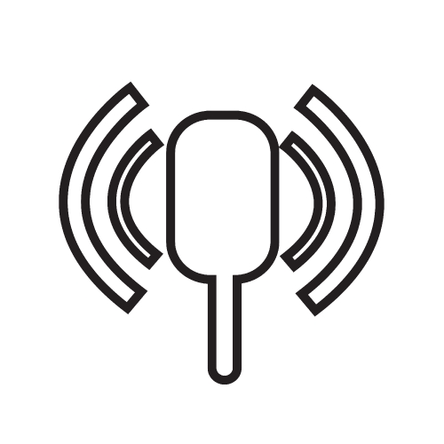 microphone icon