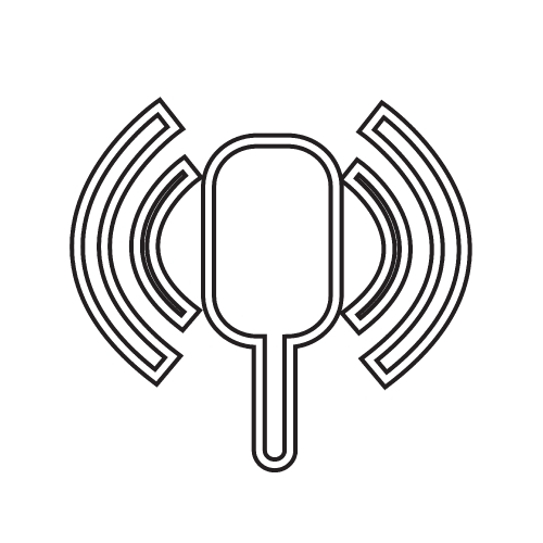 microphone icon