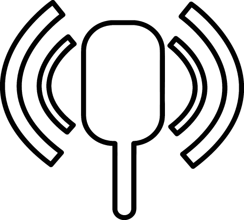 microphone icon