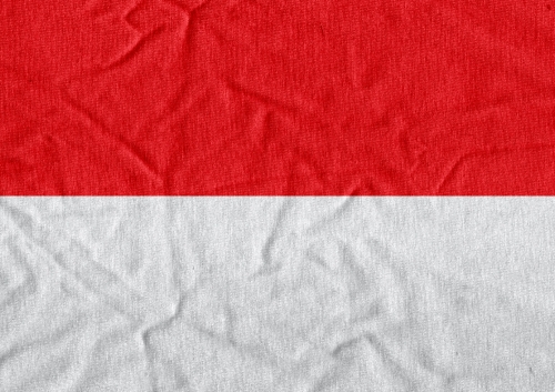 National flag of Monaco themes idea design