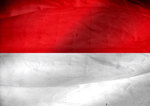 National flag of Monaco themes idea design