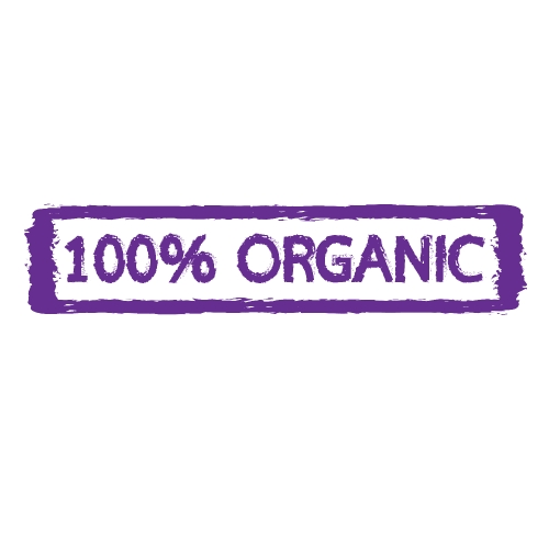 Natural organic icon