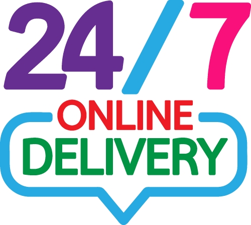 online delivery icon sign design