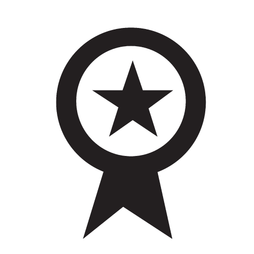 Page rank badge star icon