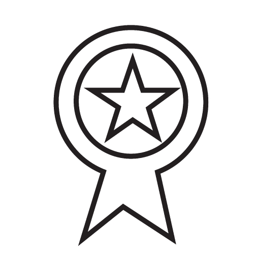Page rank badge star icon