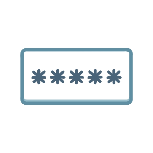 Password icon