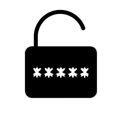 Password icon