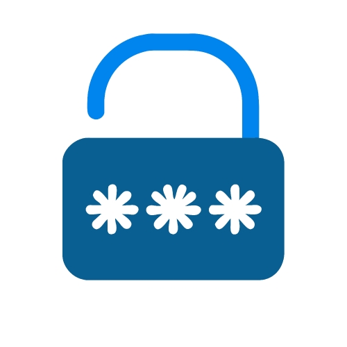 Password icon