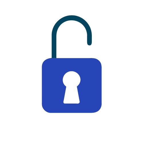 Password icon