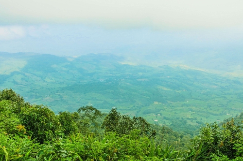 Phurua National Park, Loei   thailand