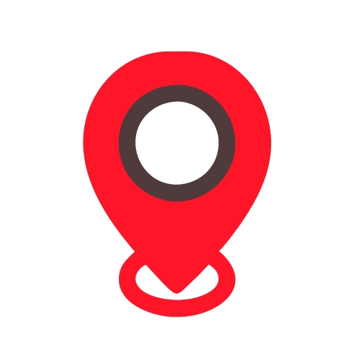 Pin icon