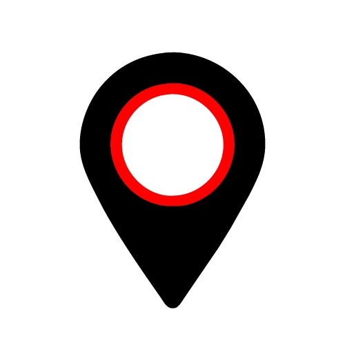 Pin icon