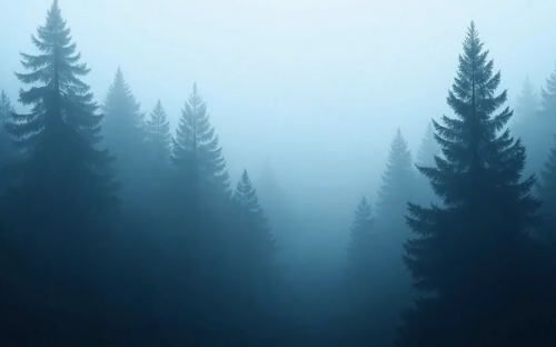Pine Forest Picture Background Wallpapers Free images 27032025 (12)
