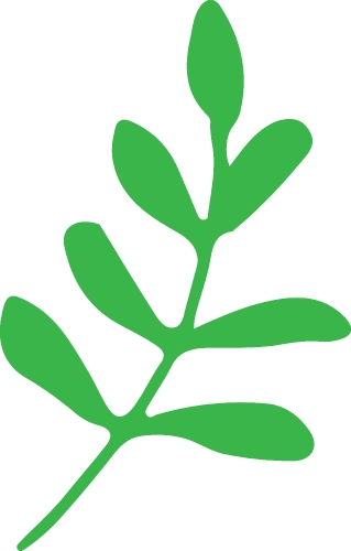 plant icon sign symbol design