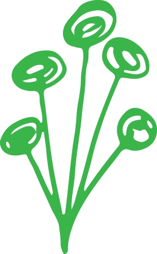 plant icon sign symbol design