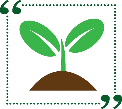 Plant tree icon concept sign design