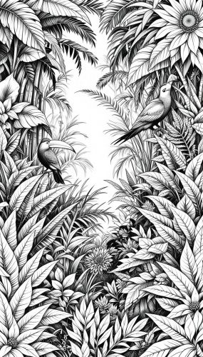 Rainforest of tropical plants Free Coloring Pages Coloring Book 22042025 (11)