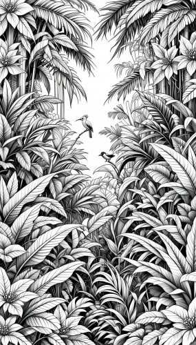 Rainforest of tropical plants Free Coloring Pages Coloring Book 22042025 (14)