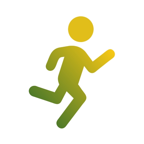 Run icon