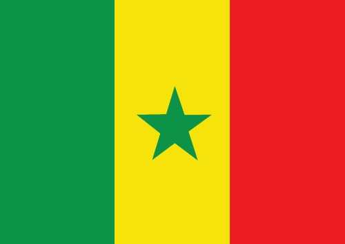 Senegal flag themes idea design