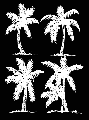 set of palm tree Tropical palm trees, black silhouettes backgrou