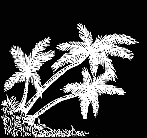 set of palm tree Tropical palm trees, black silhouettes backgrou