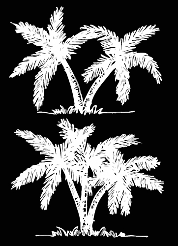set of palm tree Tropical palm trees, black silhouettes backgrou
