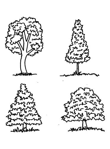 Set of trees with leaves