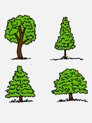 Set of trees with leaves