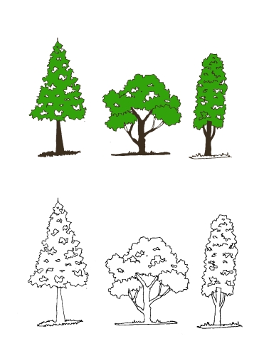 Set of trees with leaves