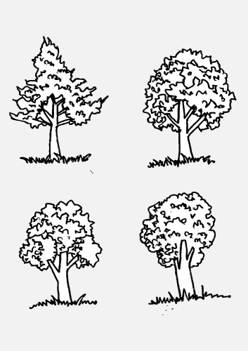 Set of trees with leaves