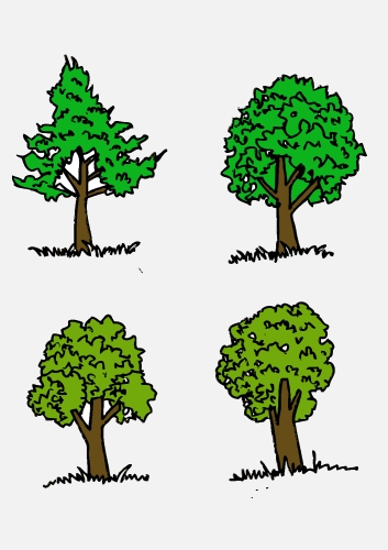 Set of trees with leaves