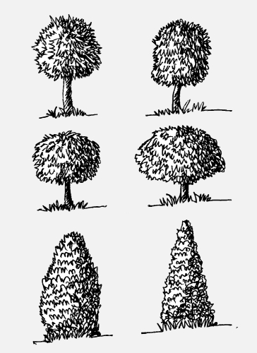 Set of trees with leaves