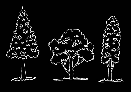 Set of trees with leaves