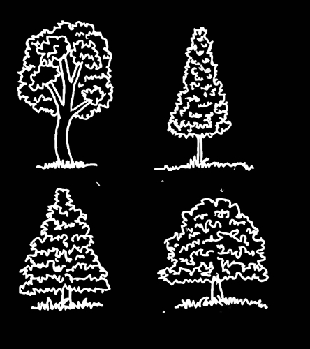 Set of trees with leaves