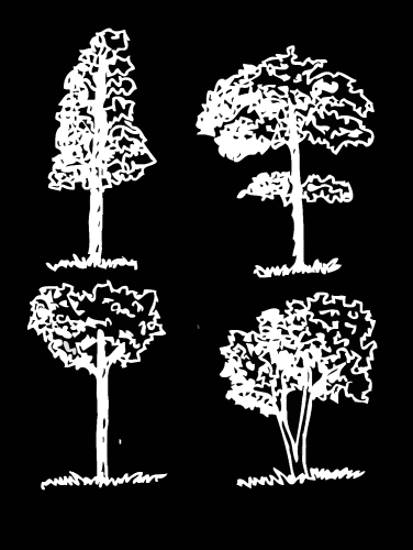 Set of trees with leaves