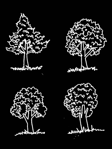 Set of trees with leaves