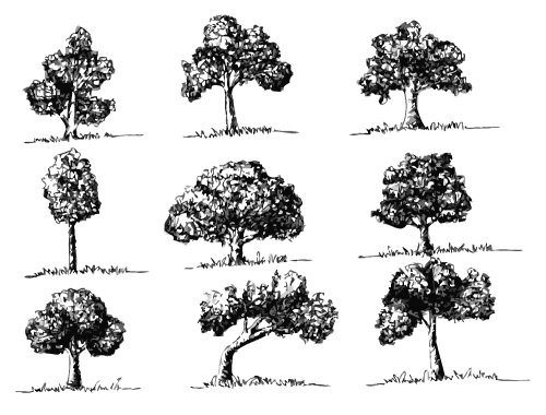 Set of trees with leaves