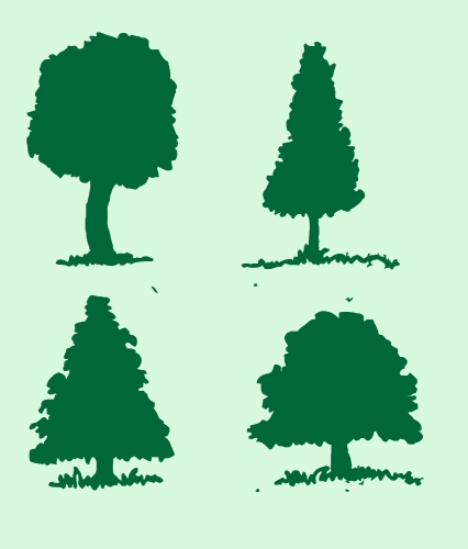 Set of trees with leaves