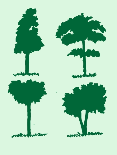 Set of trees with leaves