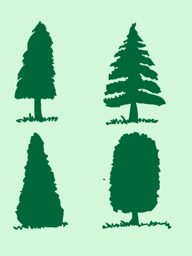 Set of trees with leaves