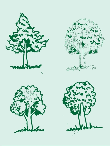 Set of trees with leaves