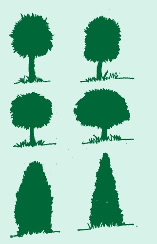 Set of trees with leaves